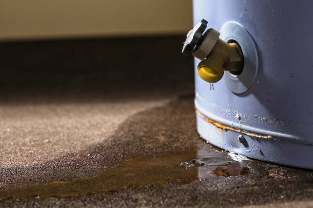 Best Water damage restoration cost  in Brown City, MI
