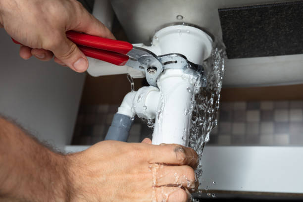 Best Residential water damage restoration  in Brown City, MI