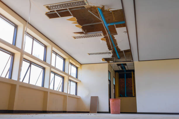Best Sewage cleanup and water damage restoration  in Brown City, MI