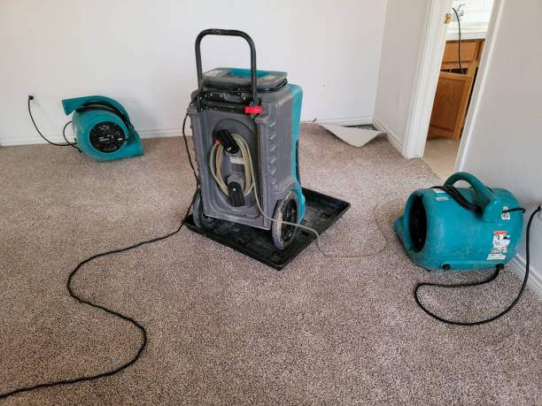Best Water damage contractors near me  in Brown City, MI