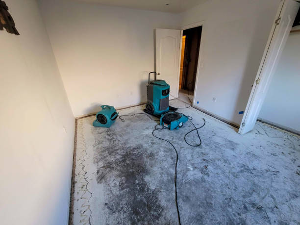 Water damage restoration insurance claims in Brown City, MI