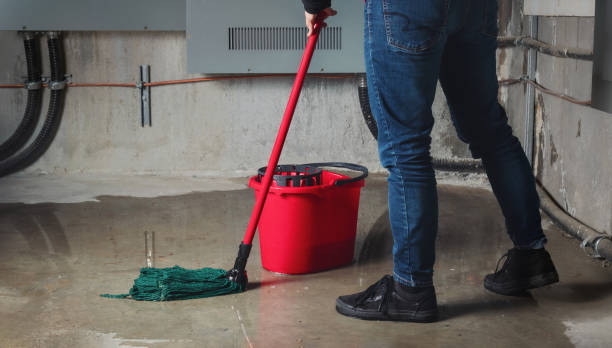  Brown City, MI Water damage restoration Pros