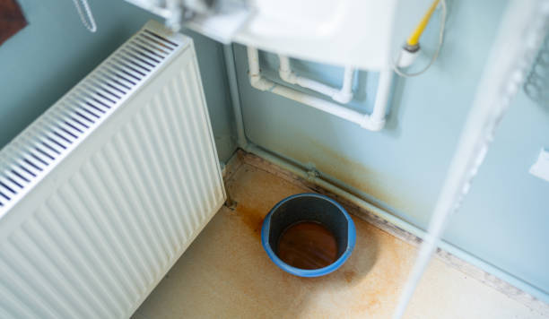 Best Water damage cleanup near me  in Brown City, MI