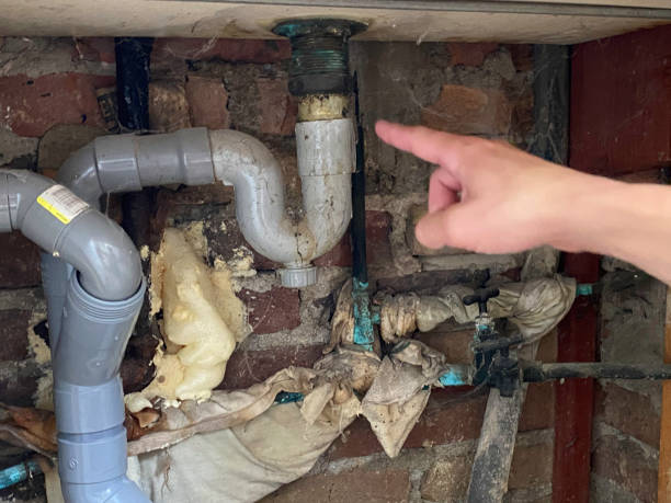Best Commercial water damage restoration  in Brown City, MI