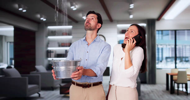 Best Water damage restoration services  in Brown City, MI