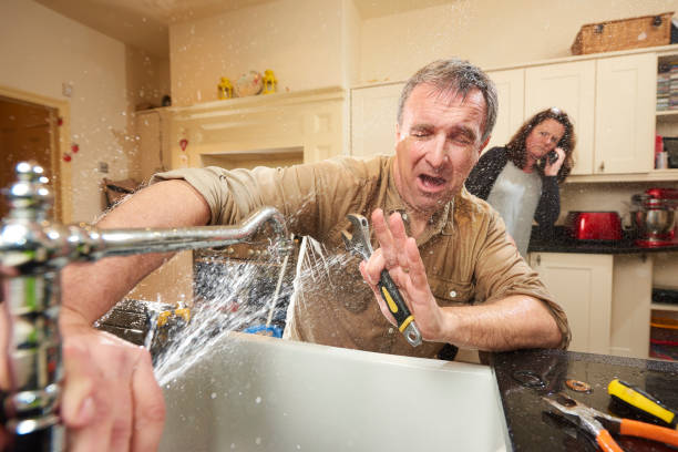 Best Water damage cleanup near me  in Brown City, MI